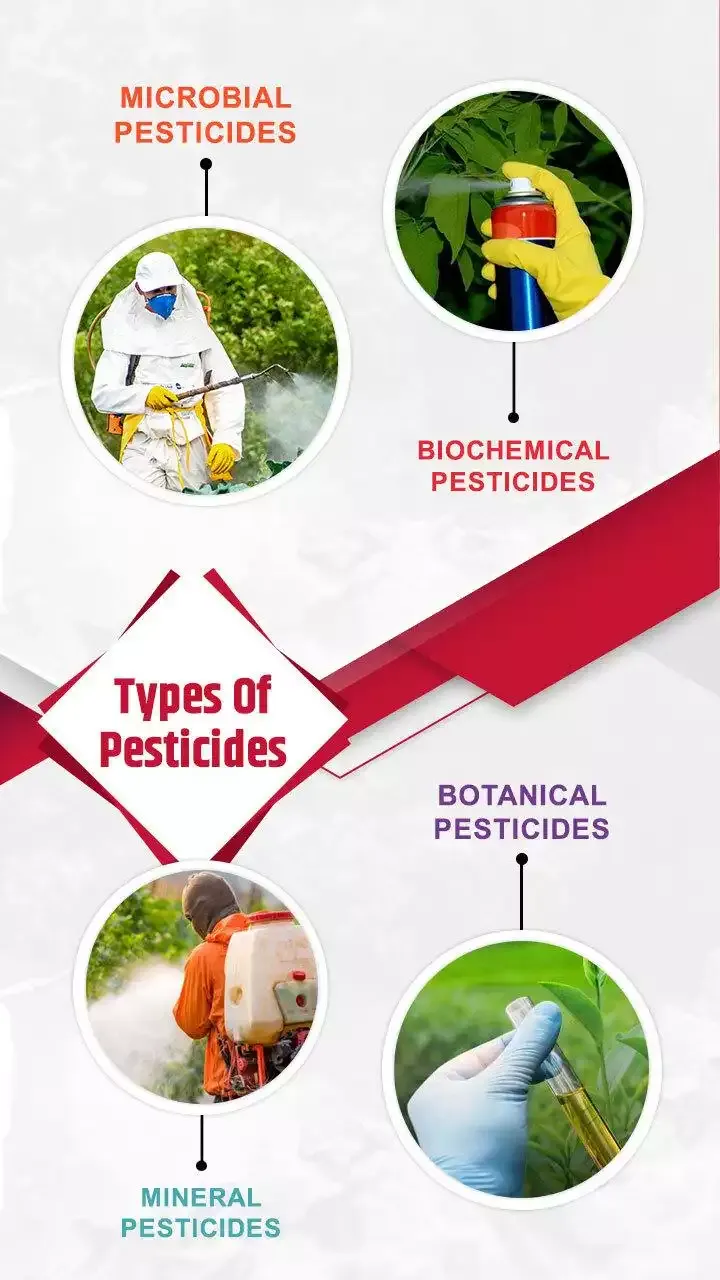 Commonly Used Insecticides And Pesticides PPT