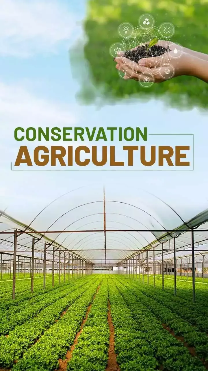 Conservation Agriculture In India Benefits And Challenges