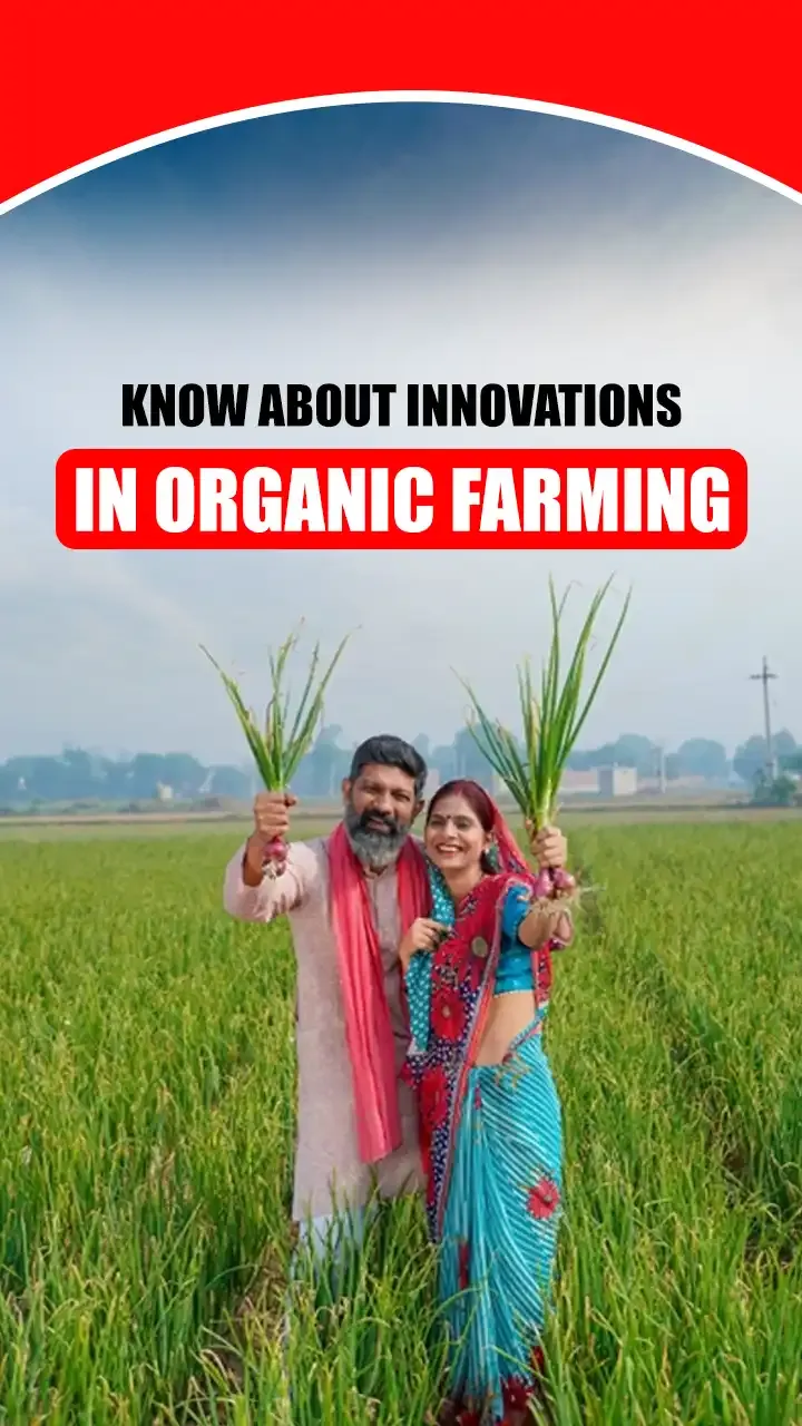 All You Need To Know About Organic Farming Innovation