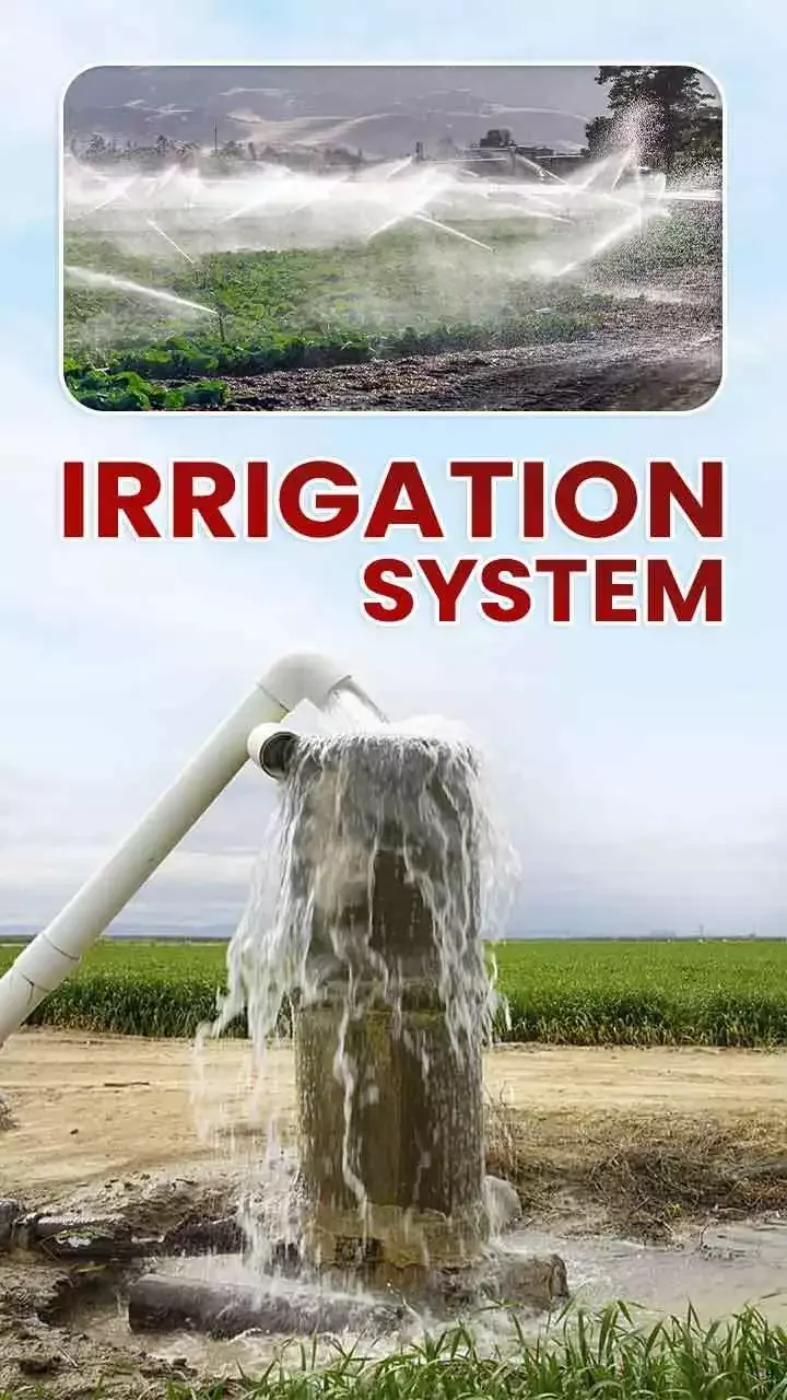 What Is Irrigation System Types Of Irrigation