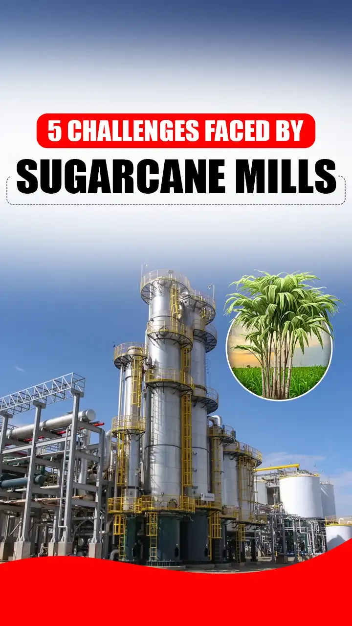 Top 5 Challenges Faced By India S Sugarcane Mills