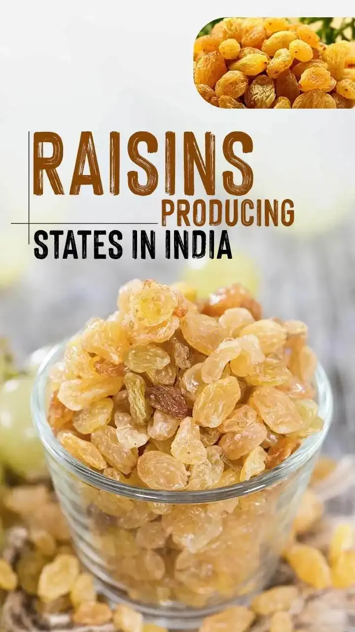 The Top Raisins Producing States In India