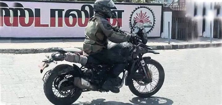 Himalayan 450 Spotted