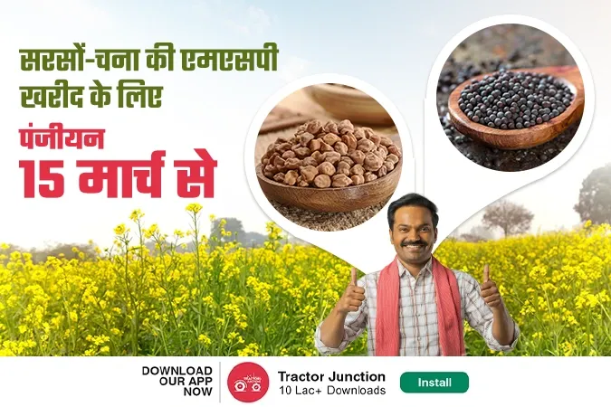 सरसों-चना की एमएसपी खरीद के लिए पंजीयन 15 मार्च से
