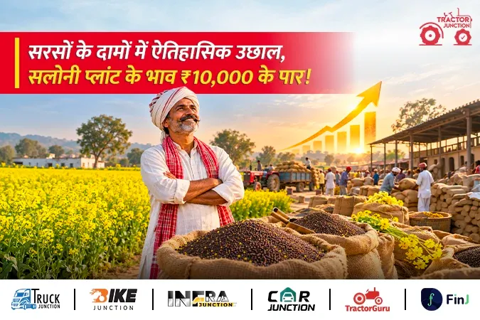 सरसों के भाव में तेजी, सलोनी प्लांट पर ₹10,000 के पार पहुंचे दाम! 