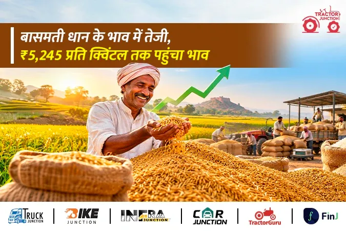 बासमती धान में तेजी बरकरार, 1121 का भाव ₹5,551 और 1401 पहुंचा ₹5,245 तक
