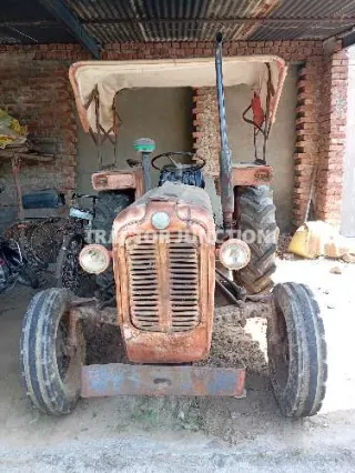 Massey Ferguson 30 DI Orchard Plus img