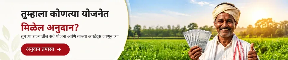 तुम्हाला कोणत्या योजनेत अनुदान मिळेल?