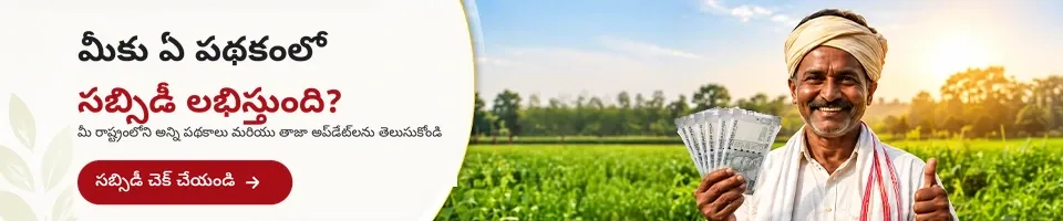 ఏ పథకంలో మీకు సబ్సిడీ లభిస్తుంది?