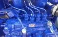 Farmtrac 6055 PowerMaxx Farmtrac 6055 PowerMaxx - Engine