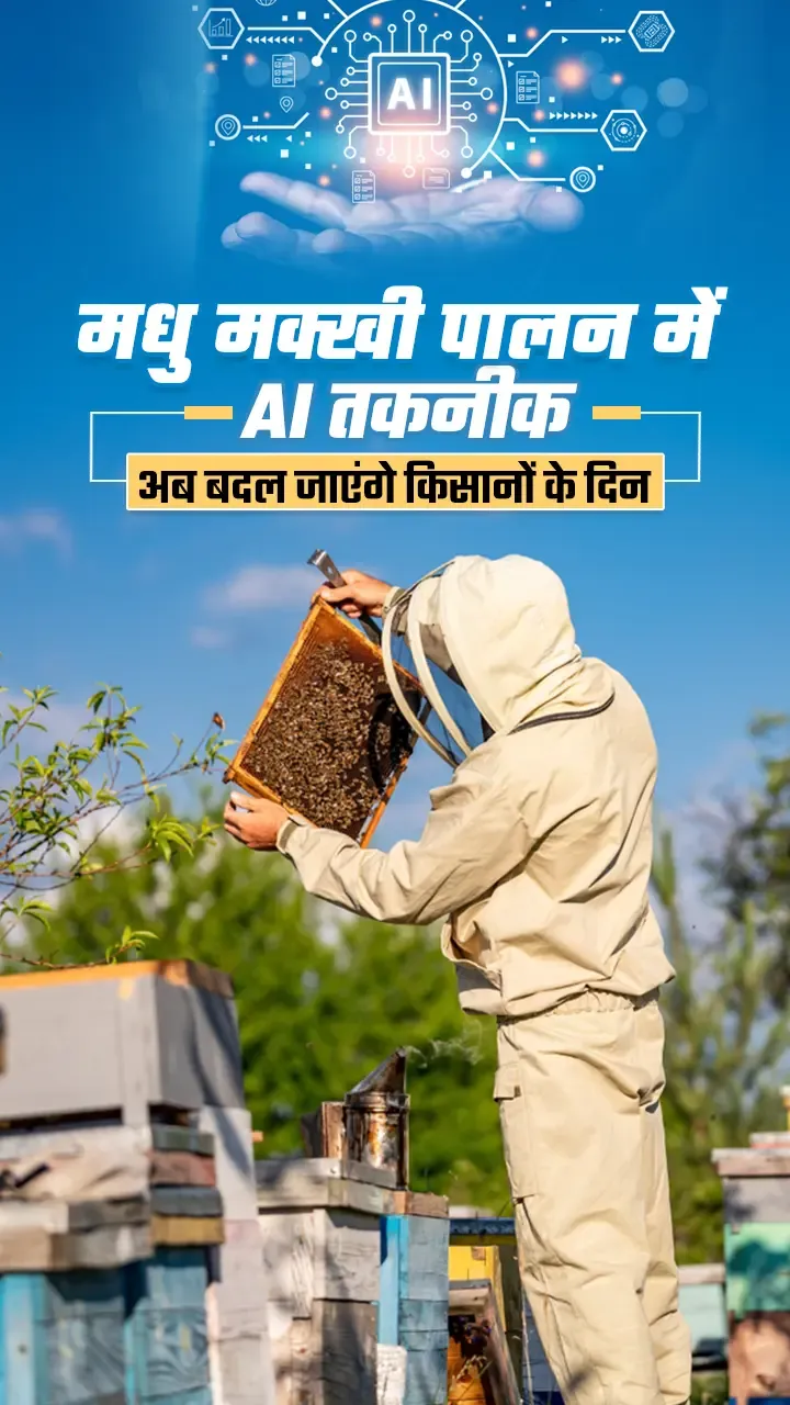  मधुमक्खी पालन में एआई तकनीक क्या है? 