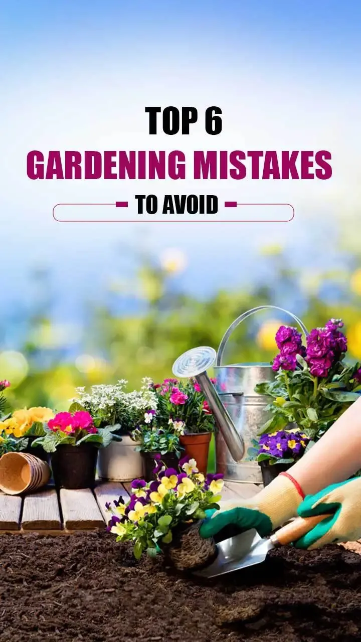 Top 6 Gardening Mistakes to Avoid