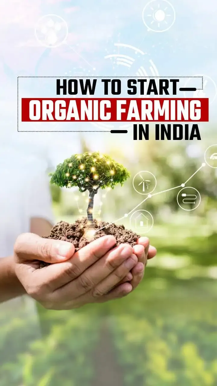 short case study on organic farming in india
