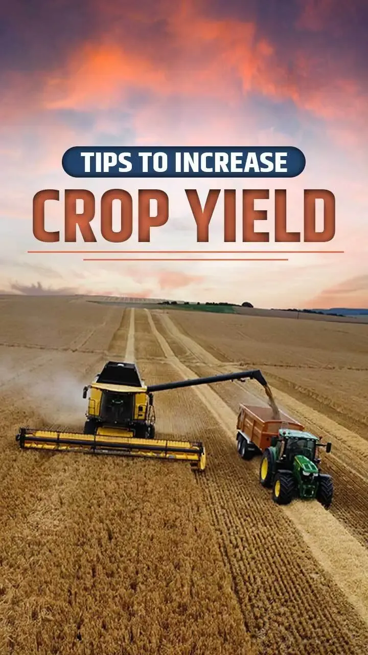 Top 6 Tips to Increase Crop Yield