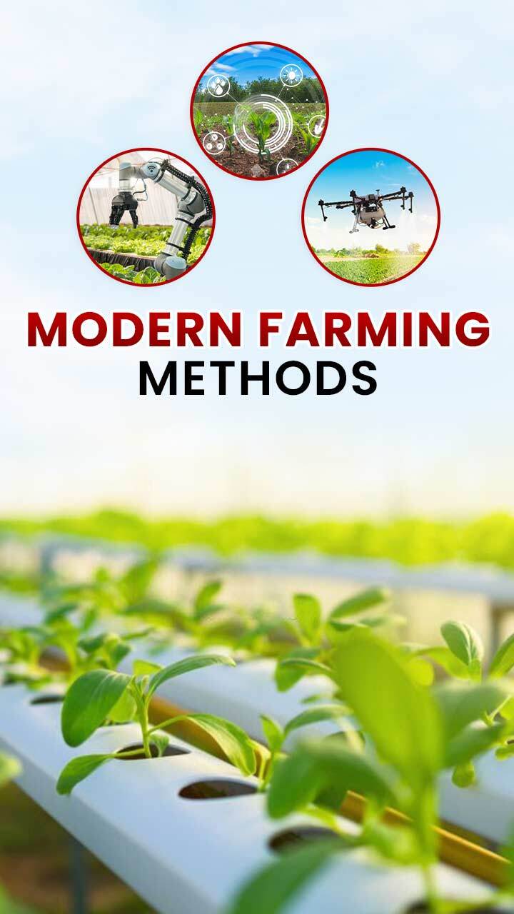 4 Popular Modern Farming Methods