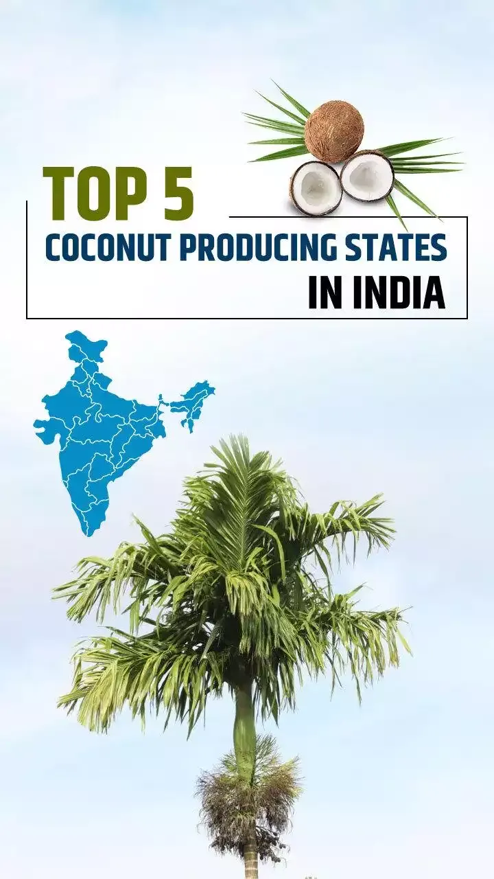 5 Biggest Coconut Producing States in India 2023