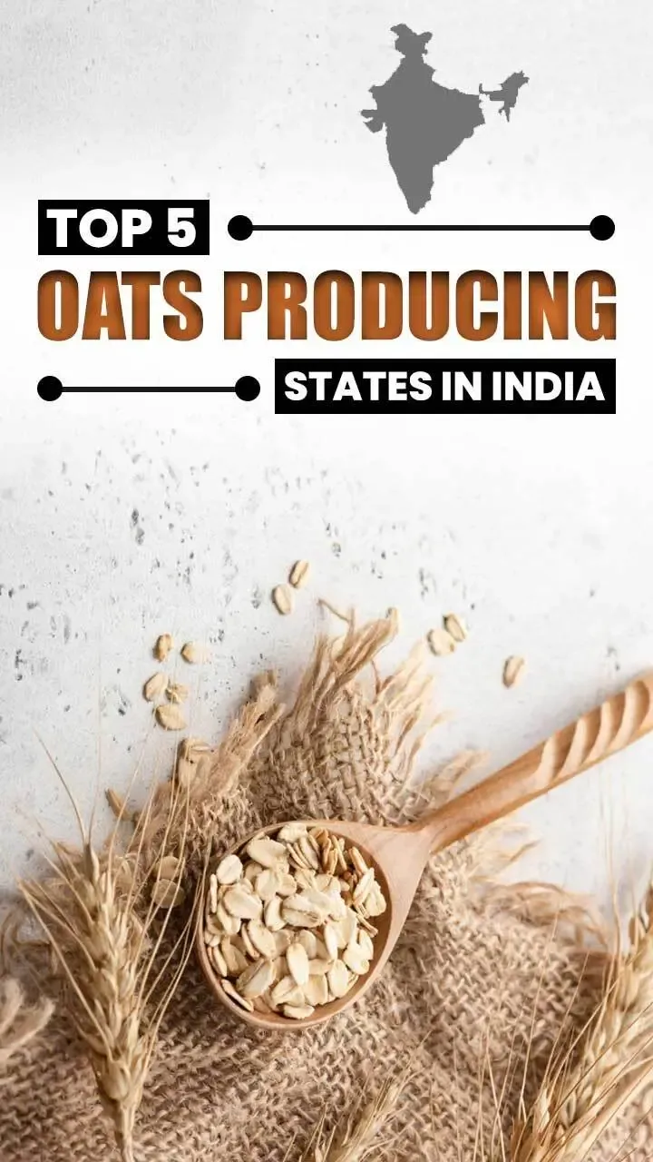 Oats Producing States In India