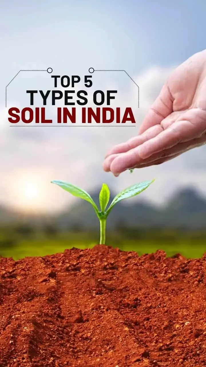 Top 5 Types of Soil in India and Their Uses