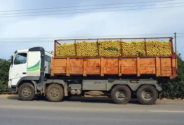 விவசாய போக்குவரத்து